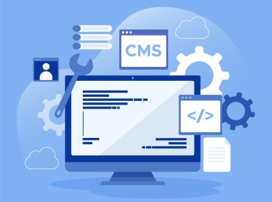 Qué es un cms